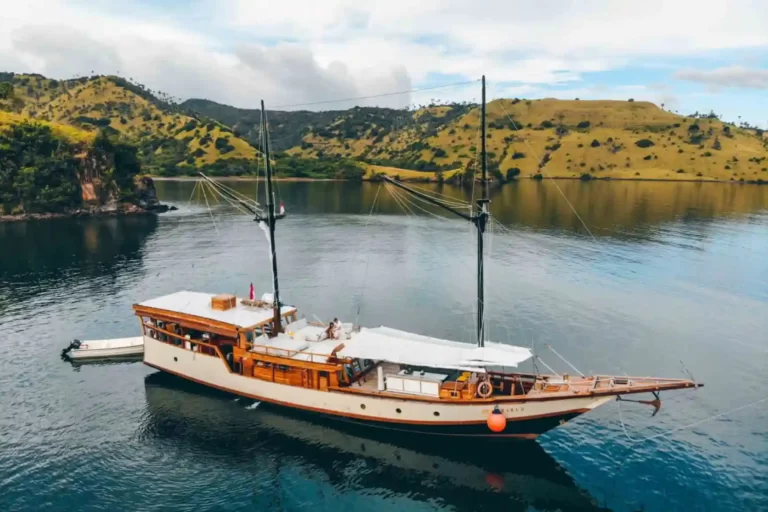 Top 5 Tips on How to Choose The Best Komodo Boat Trip