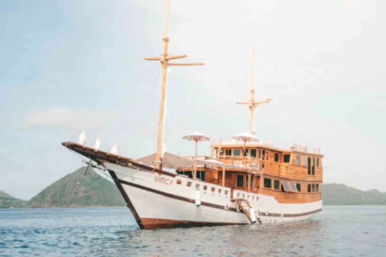 Komodo Tour Package Vinca Voyage